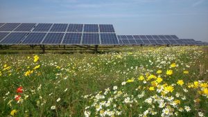 solar farm